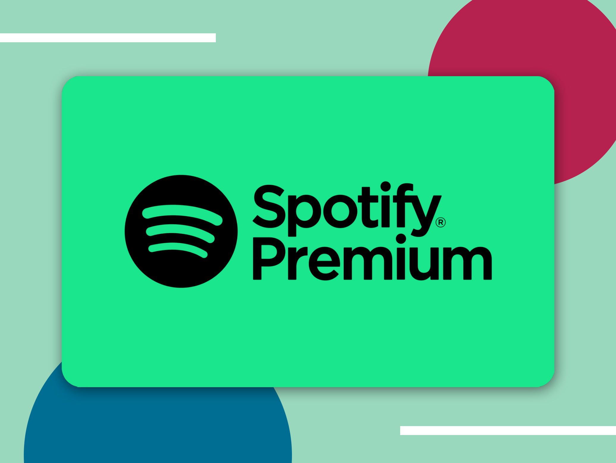 Spotify Premium - 4 months